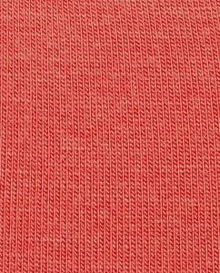 tala-soft-coral